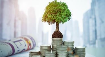 Compte-à-Terme-en-Dinars-convert