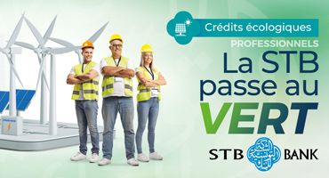 STB_Ecolo_pro-370x200